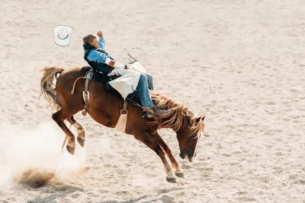Rodeo Austin